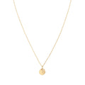 Aspen 50 Halsband - Guld