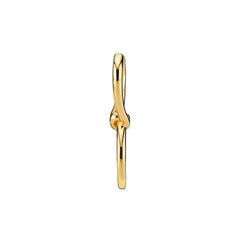 Pirro Earring - Gold