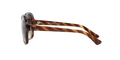 0VO2871S - Havana/Brown Gradient