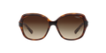 0VO2871S - Havana/Brown Gradient