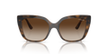 0VO5337S - Dark Havana
