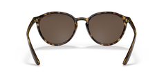 0VO5374S - Dark Havana/Brown