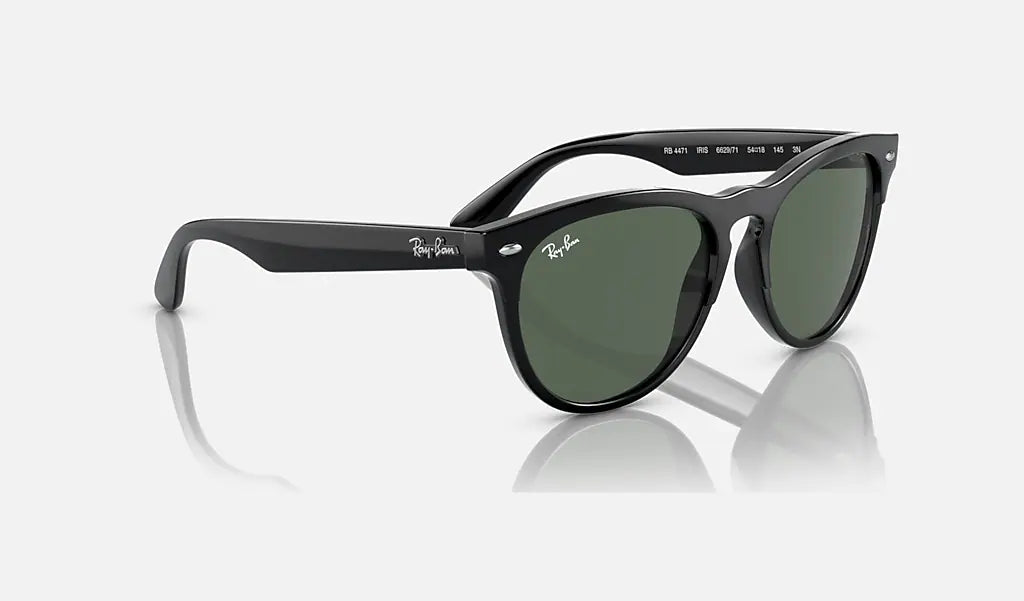 Ray-Ban Iris Solglasögon