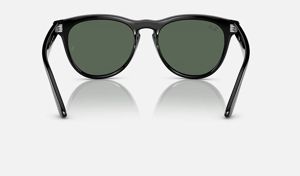 Ray-Ban Iris Solglasögon