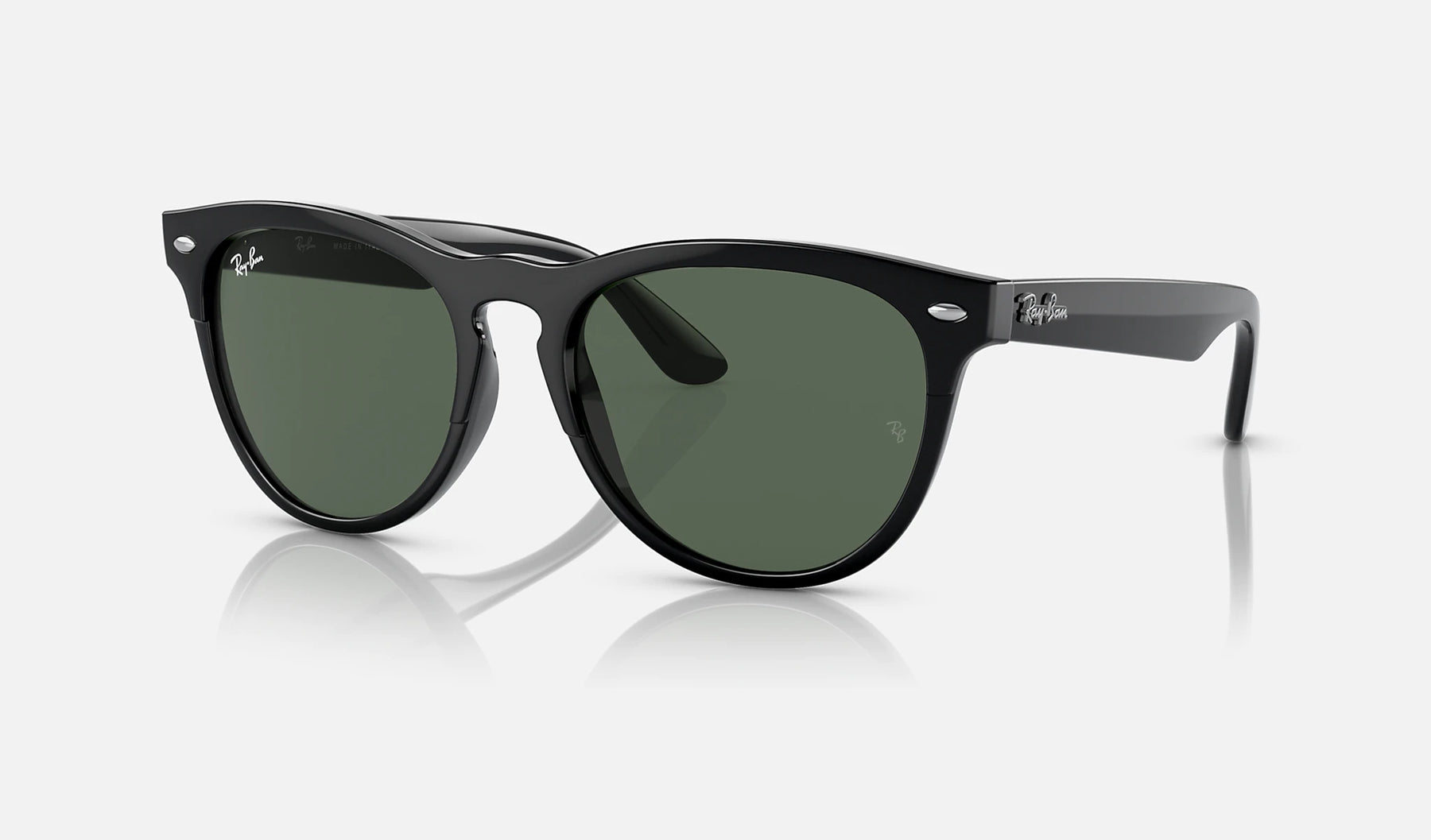Ray-Ban Iris Solglasögon