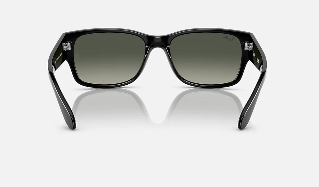 Ray-Ban RB4388 Solglasögon