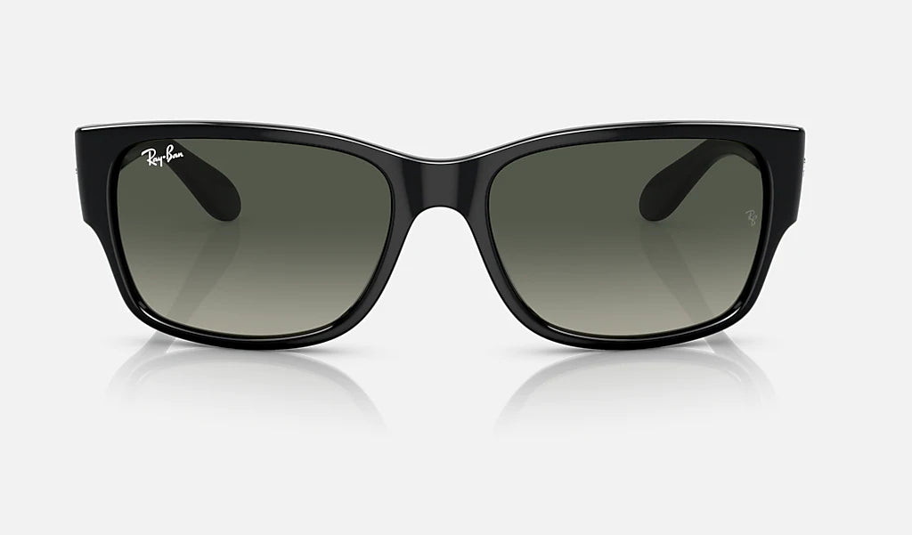Ray-Ban RB4388 Solglasögon