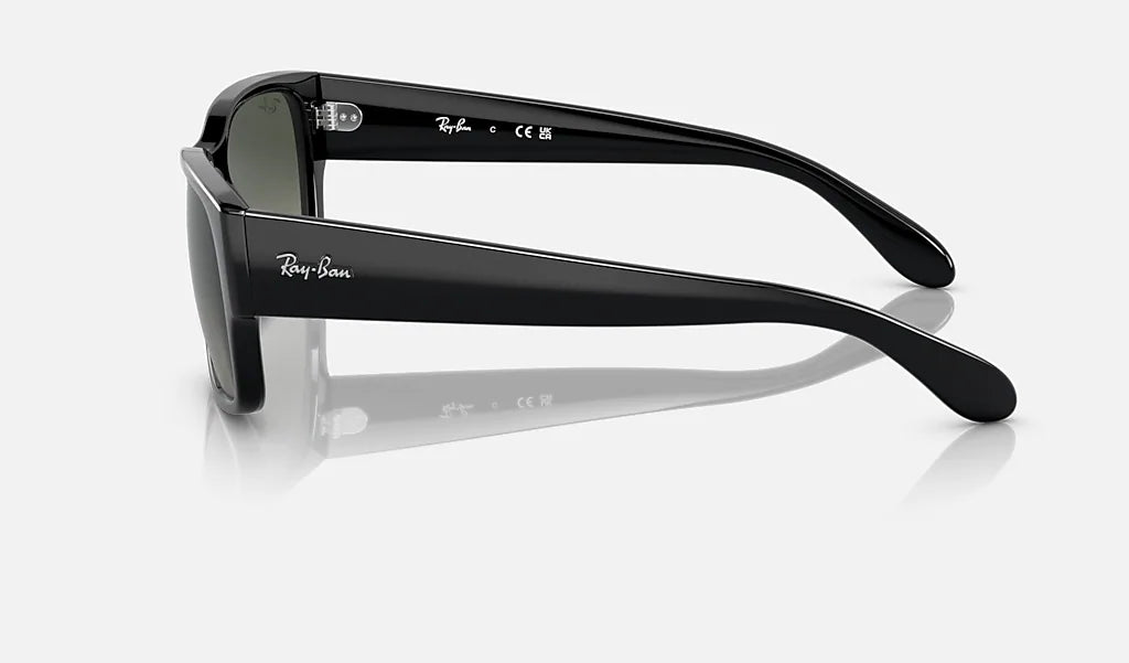 Ray-Ban RB4388 Solglasögon