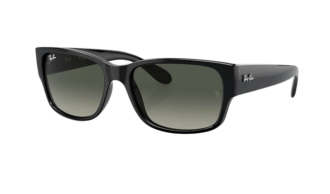 Ray-Ban RB4388 Solglasögon