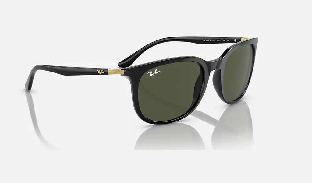 Ray-Ban RB4386 solglasögon