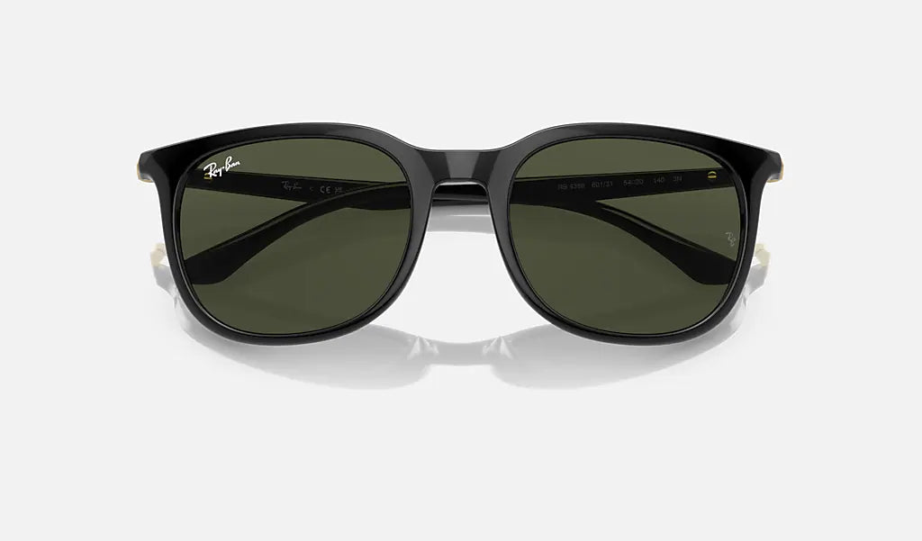 Ray-Ban RB4386 solglasögon