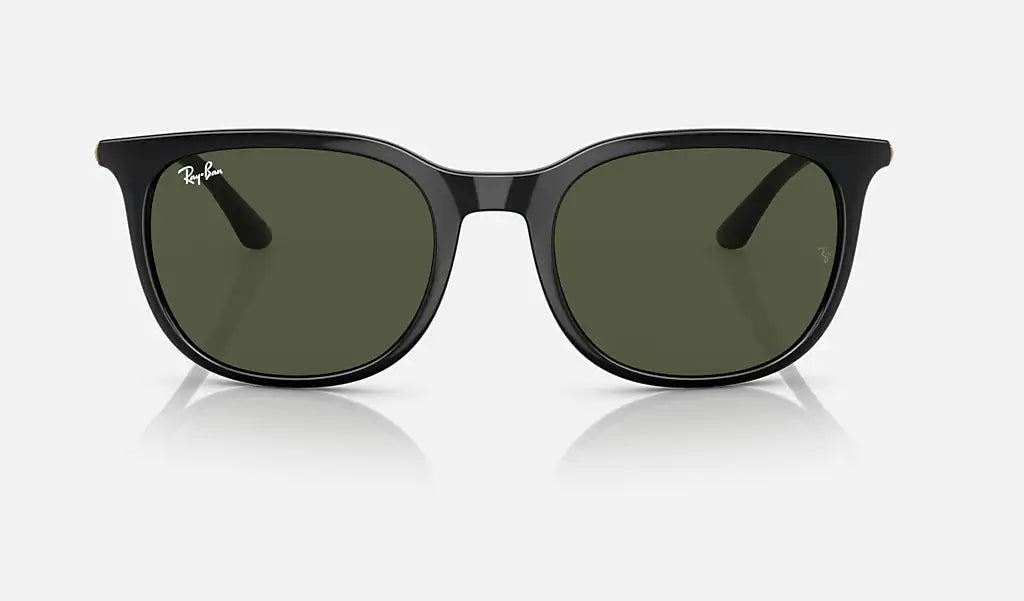 Ray-Ban RB4386 solglasögon