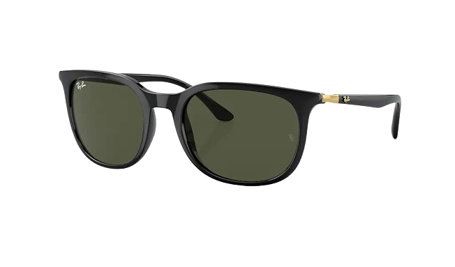 Ray-Ban RB4386 solglasögon