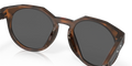 HSTN - Matte Brown Tortoise - Prizm Black Polarized