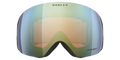 Flight Deck L Matte Black - Prizm Sage Gold - Goggles