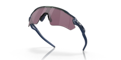 Radar Ev Path - Matte Silver - Prizm Road Black