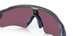 Radar Ev Path - Matte Silver - Prizm Road Black