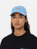 Hardwick Duck Canvas SW - Azure