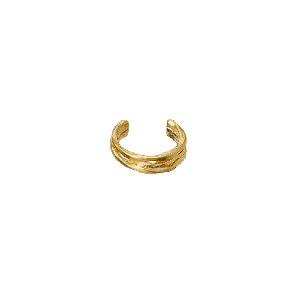 Ellis Earcuff - Gull