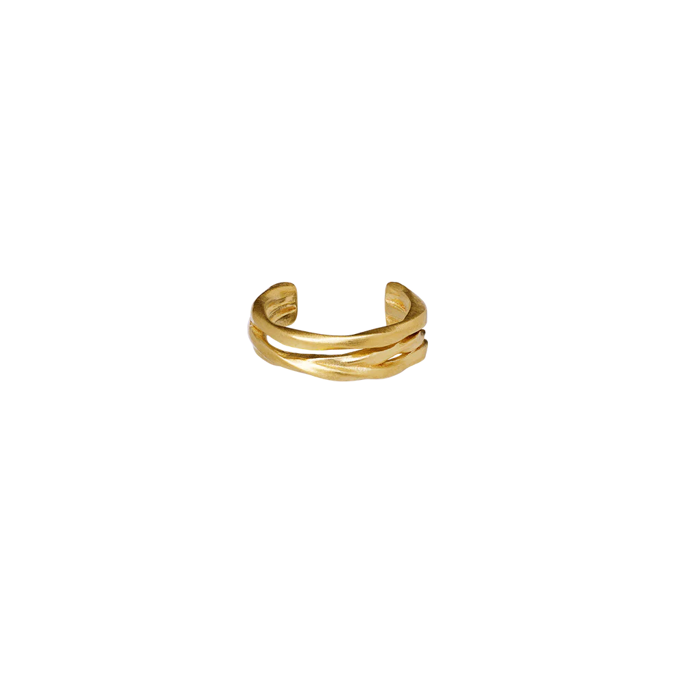 Ellis Earcuff - Gull