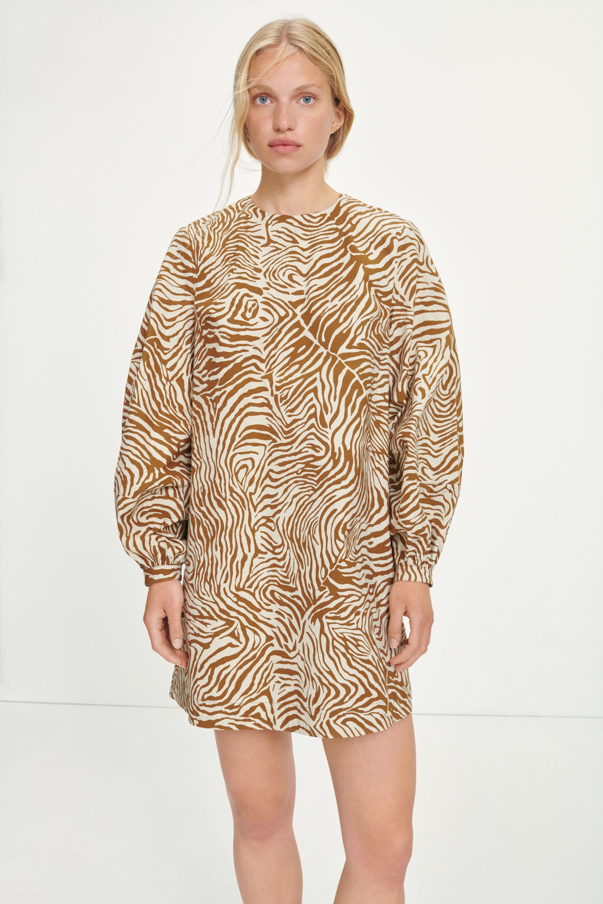 Aram Short Dress Aop - Mountain Zebra