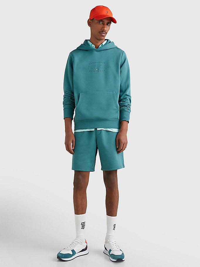 Hilfiger Curve Logo Hoody - Frosted Green