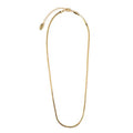 Flat Snake Chain Necklace 15" - Pale Gold