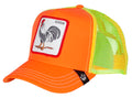 Cap Elec Tamale - Orange