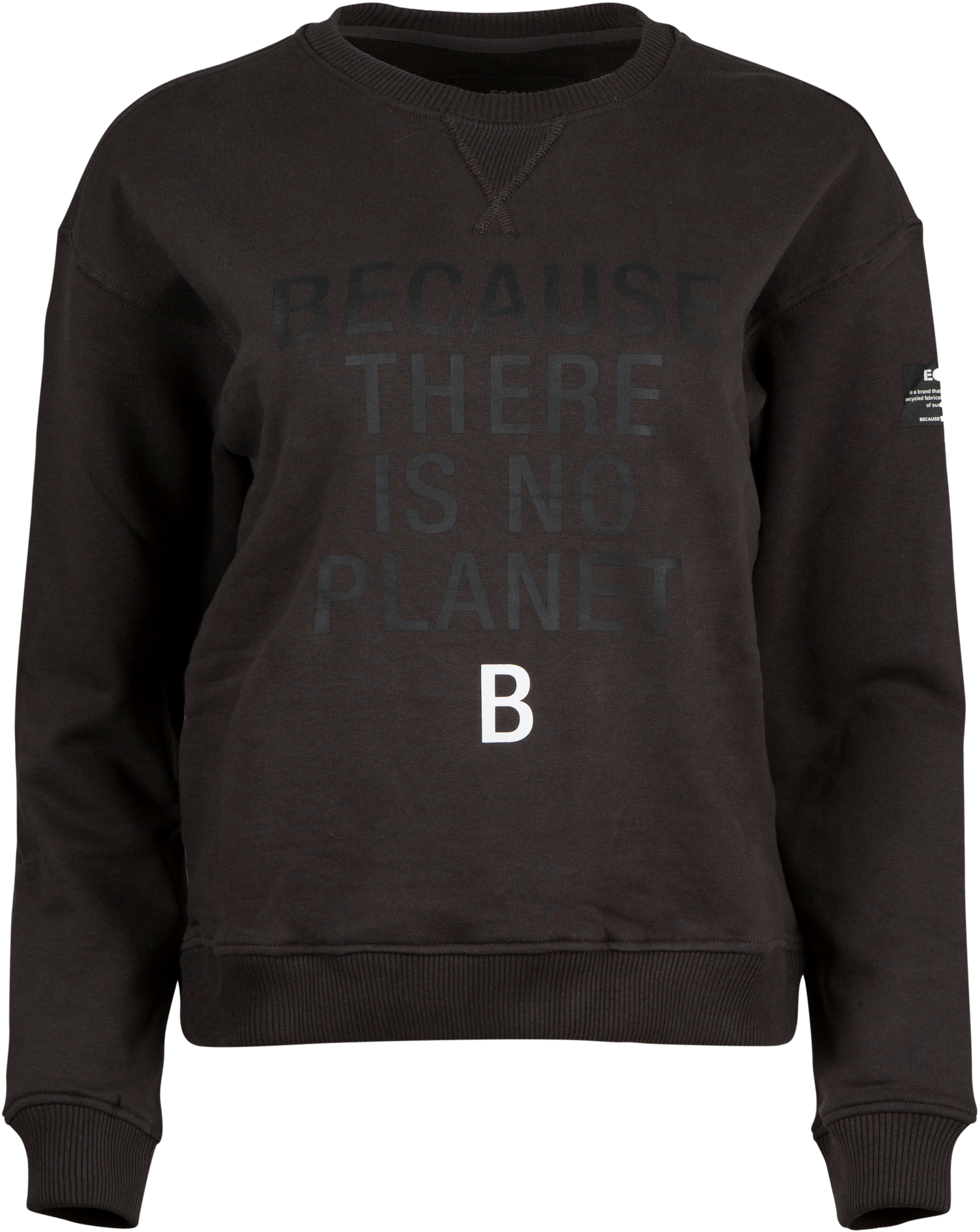 Llanesalf Because Woman Sweatshirt - Asphalt