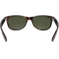 New Wayfarer - Tortoise - G-15 Green