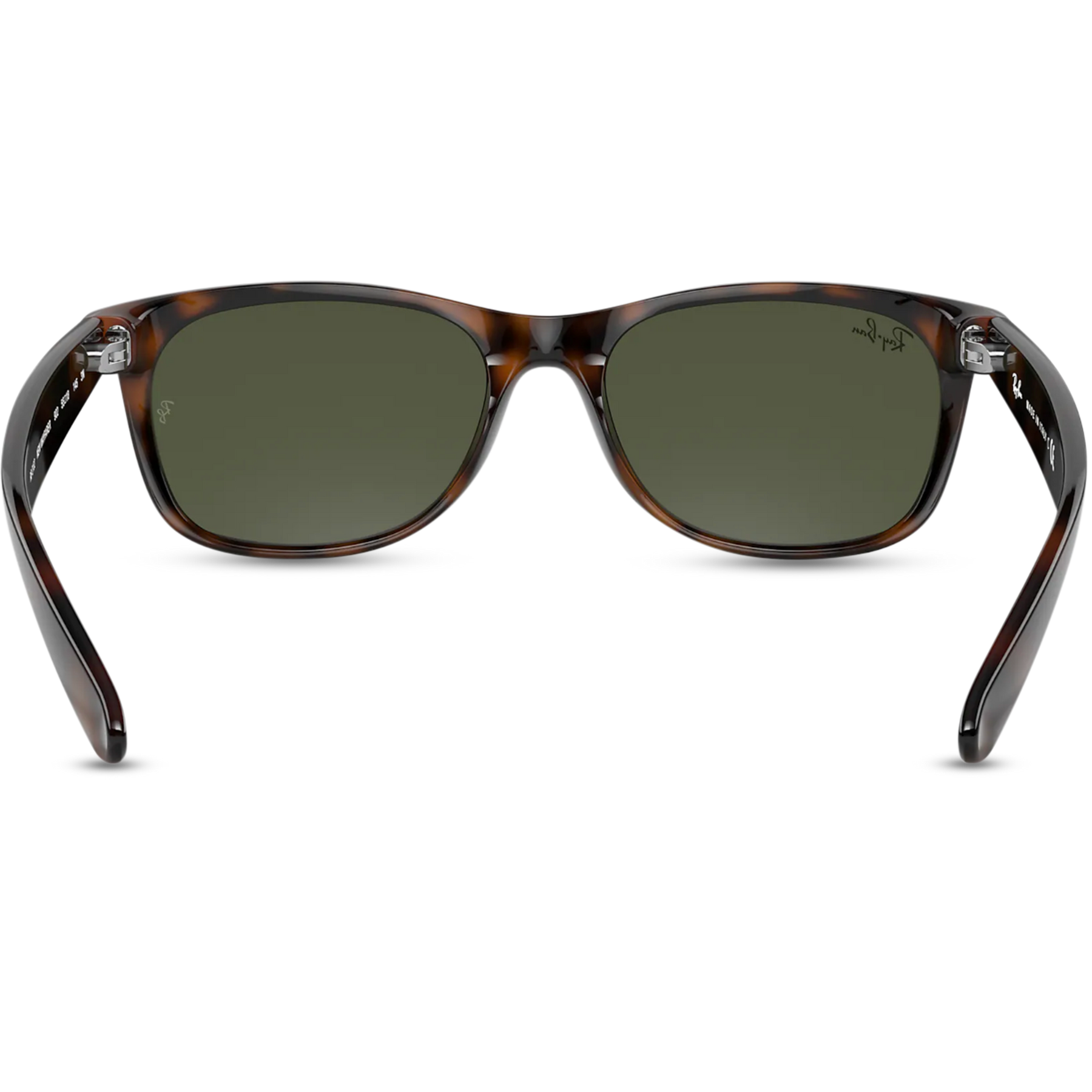 New Wayfarer - Tortoise - G-15 Green