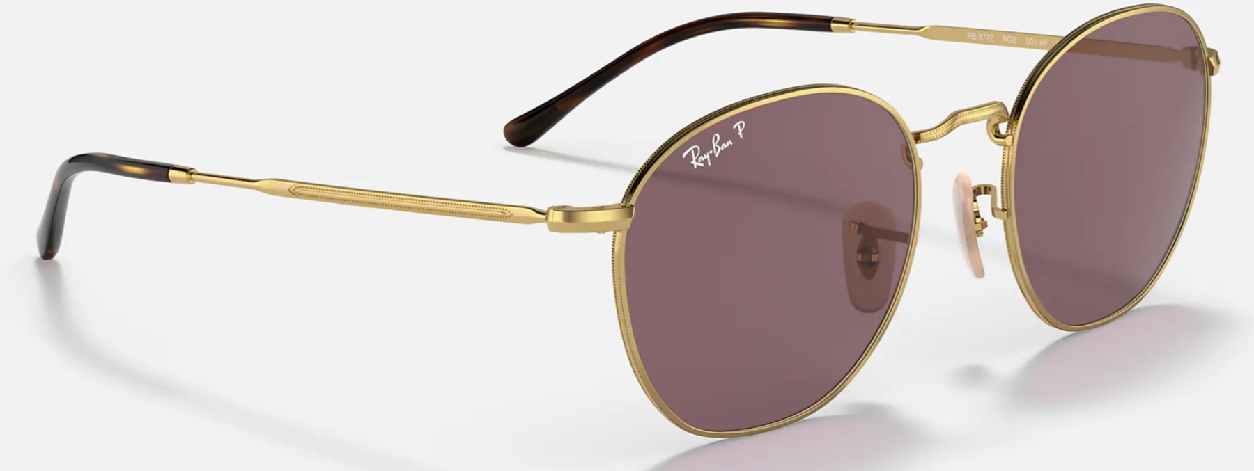 Ray-Ban Rob Solglasögon