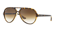Cats 5000 - Crystal Brown Gradient - Ray Ban - Tilbehør - VILLOID.no