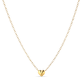 Bruised Heart Necklace - Gold Plated