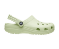 Classic Clog - Celery