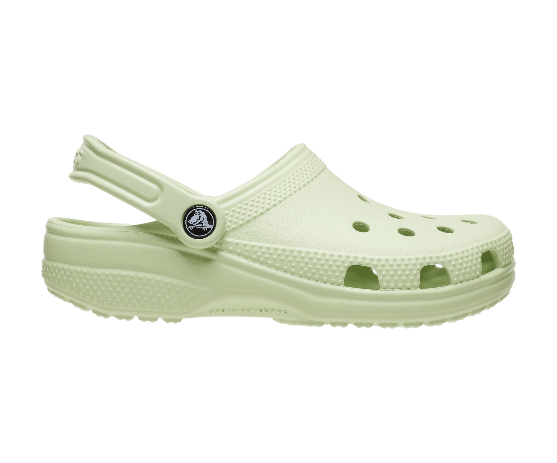 Classic Clog - Celery