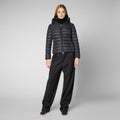 Daisy Giga - Black