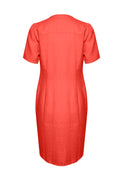 AminasePW Dress - Grenadine