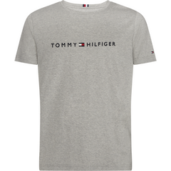 Core Tommy Logo Tee - Cloud HTR