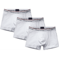 3P Trunk - White