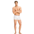 3P Trunk - White