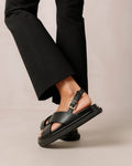 Marshmallow - Total Black
