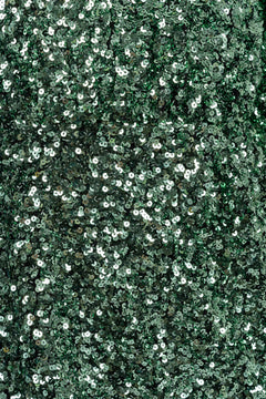 Colyn Ls Short Sequins Dress - Loden Frost