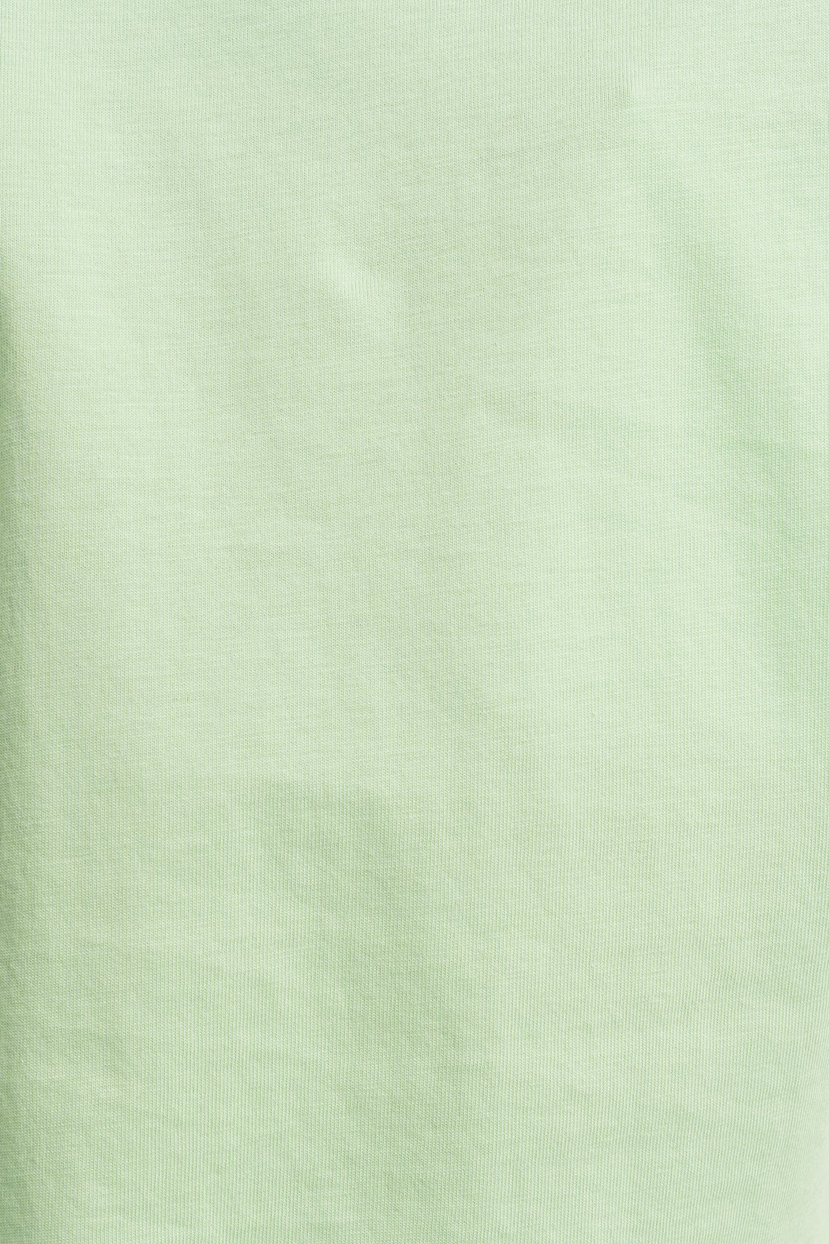 Myessential Ss O-Neck Tee - Pistachio Green