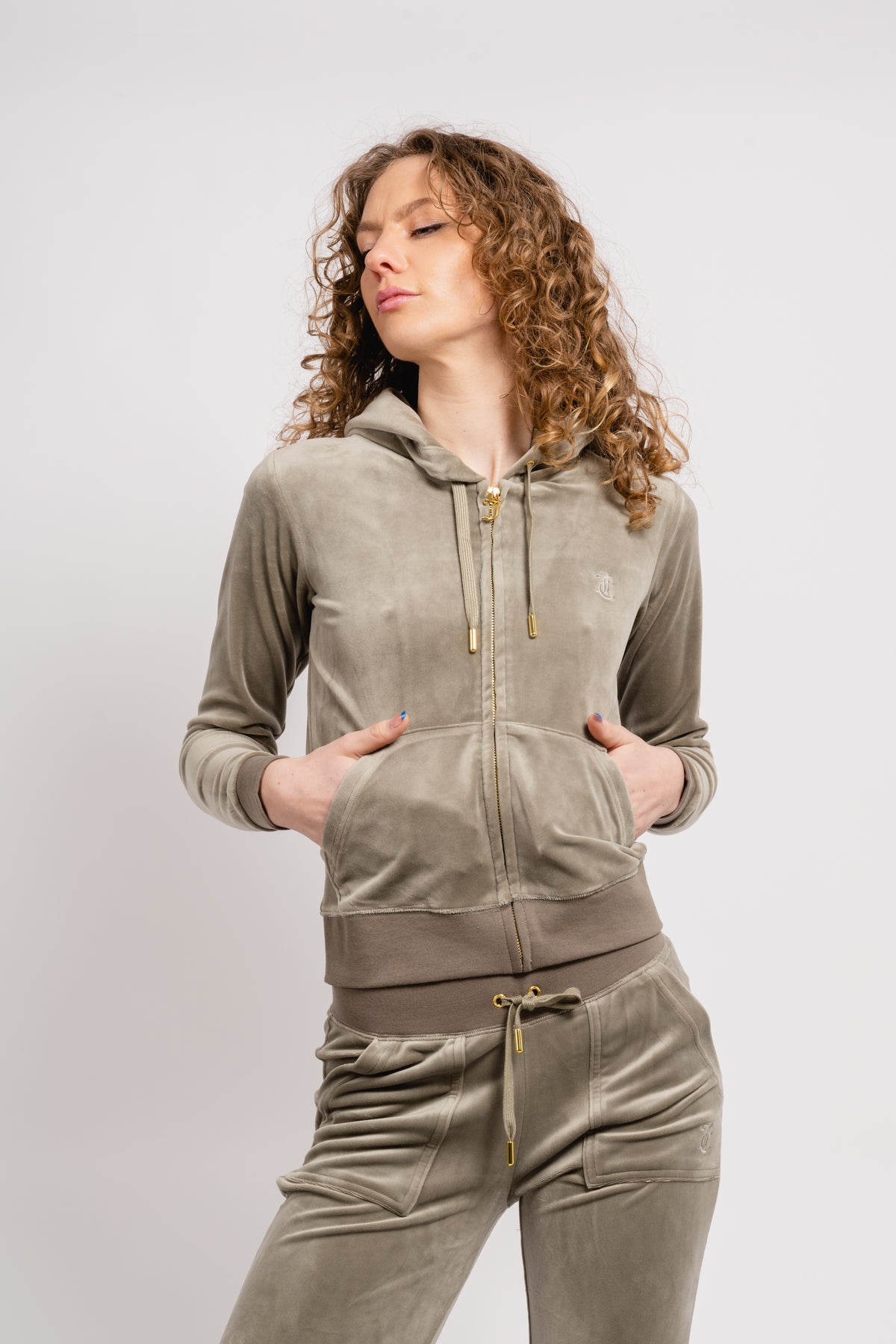 Robertson Classic Velour Zip Hoodie Gold Hw - Vetiver