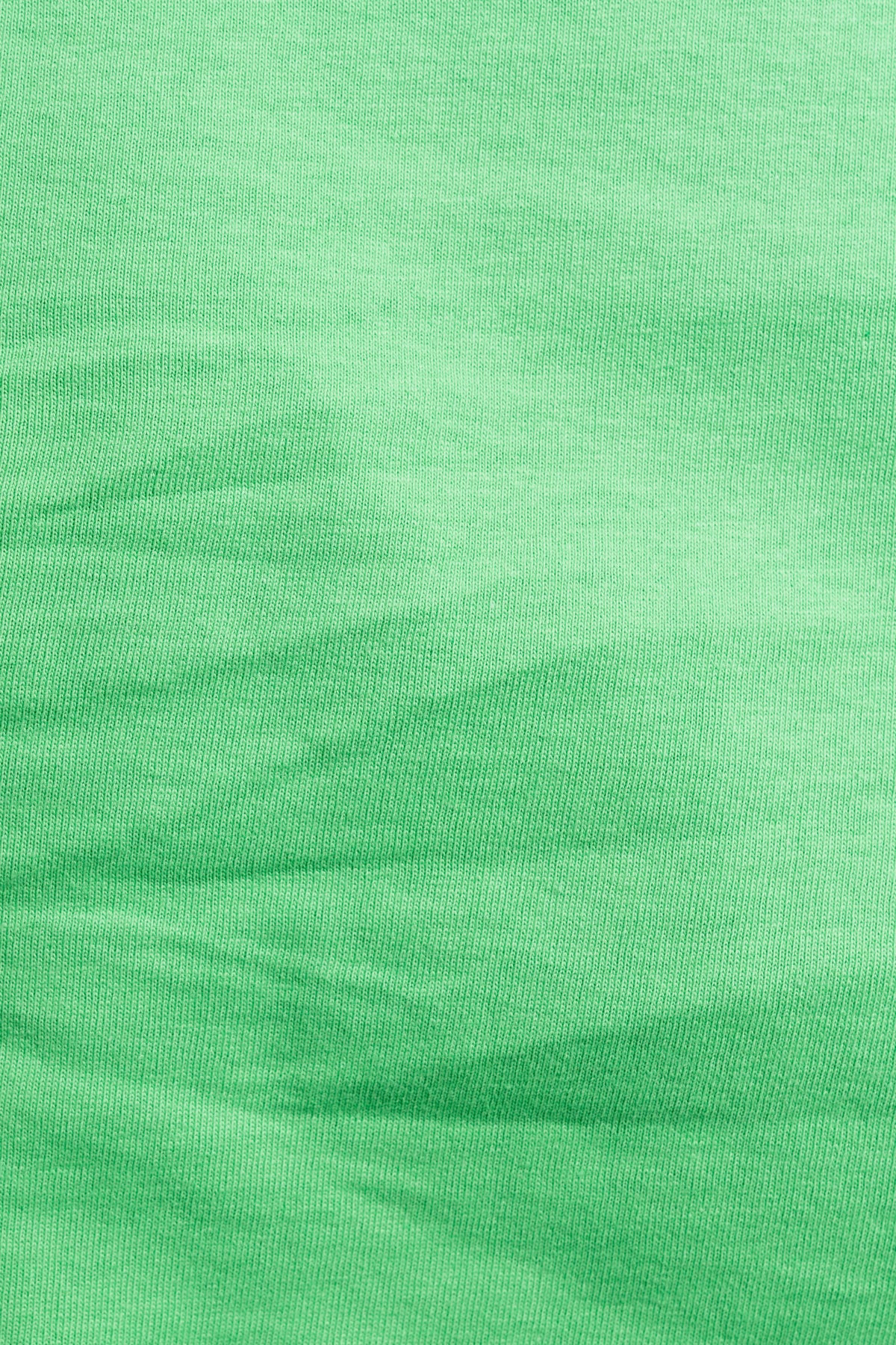 Recycled Haylee T-Shirt - Andean Toucan