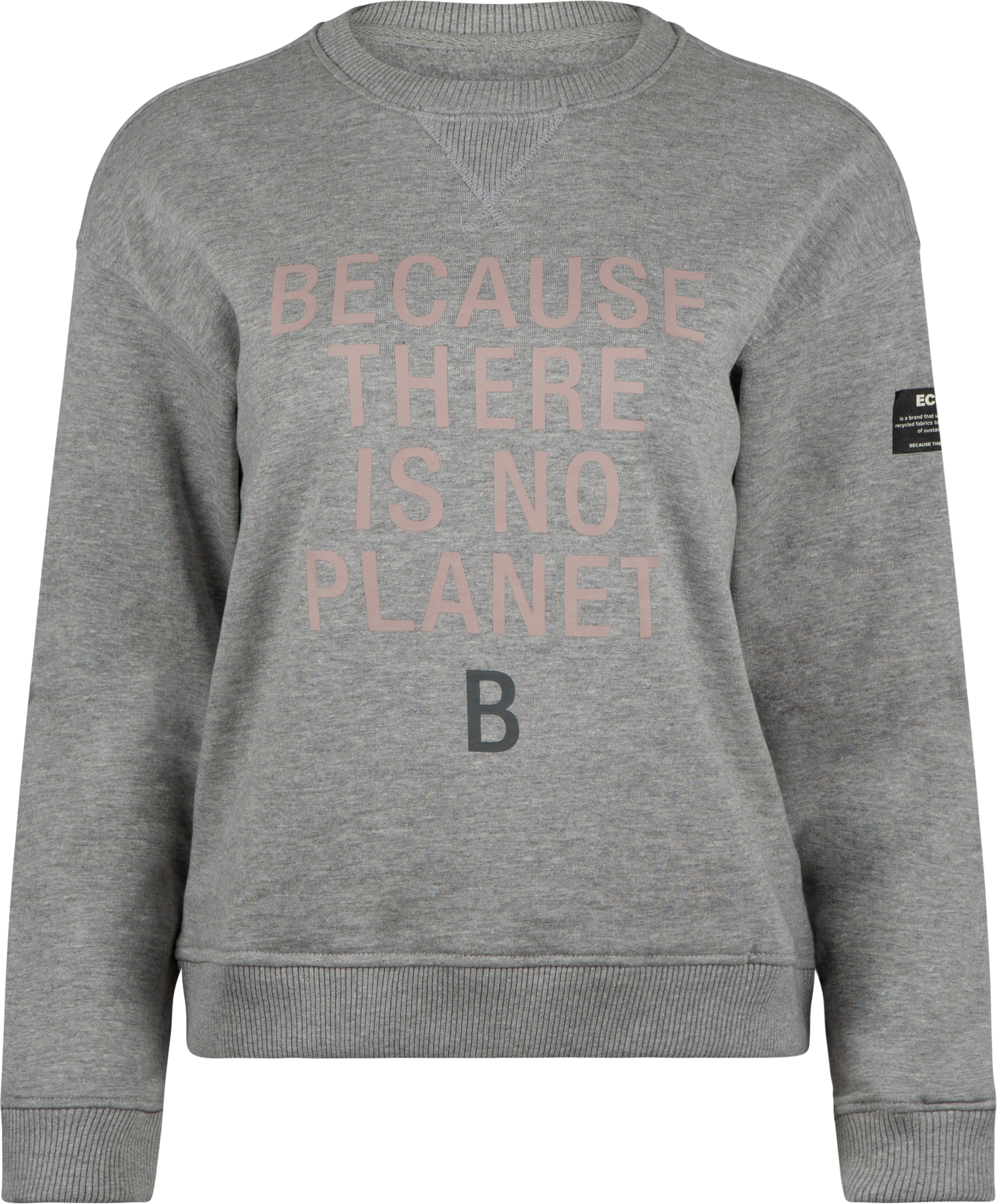 Llanesalf Because Woman Sweatshirt - Grey Melange