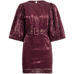 Sequins Puff Sleeve Mini Dress - Plum