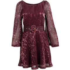 Sequins Mini Dress - Plum