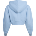 Cropped Hoodie - Frozen Fjord